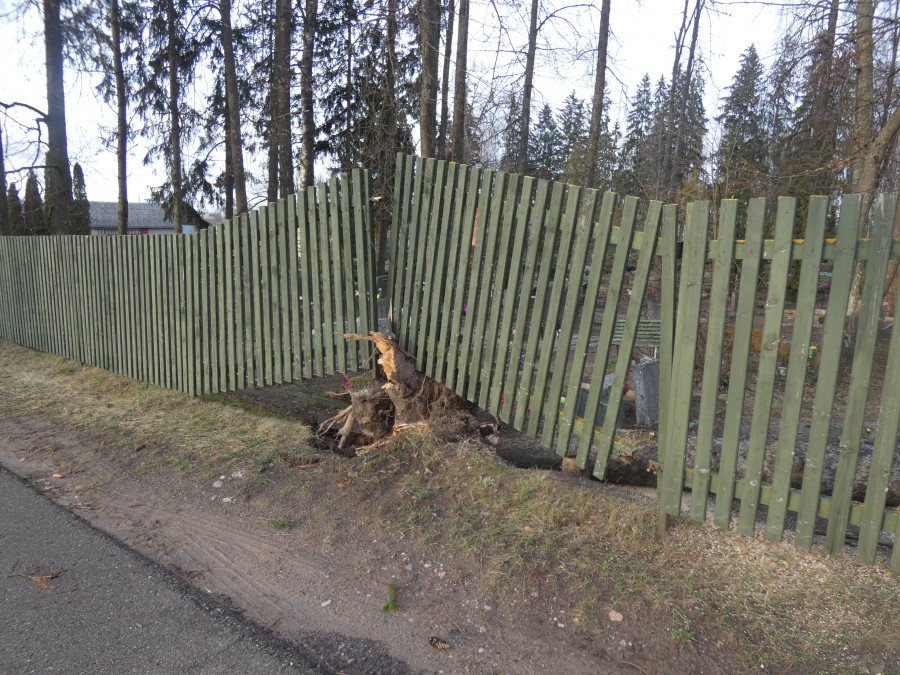 Vētras postījumi Preiļu pilsētas kapos