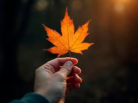 SIA “PREIĻU SAIMNIEKS” rudens sezonas akcija rudens lapu savākšanai Preiļu novada teritorijā